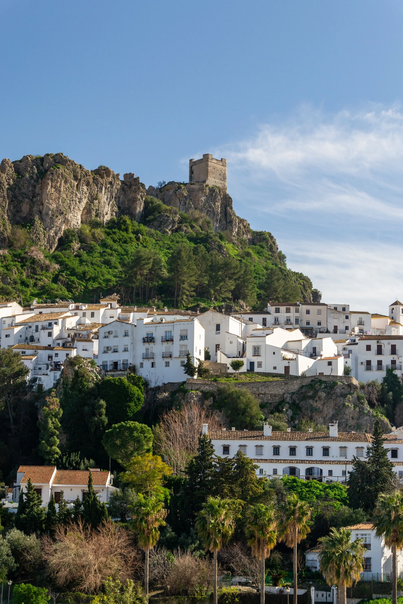 Casares ingatlan, Costa del Sol